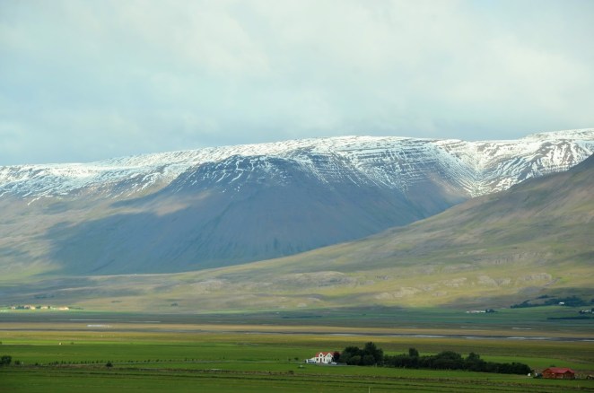 DSC_9809