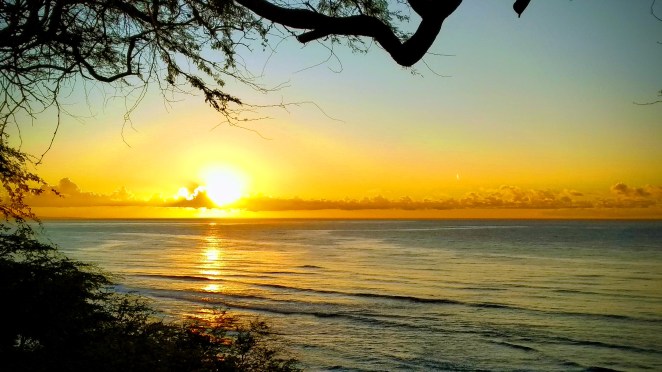 IMG_20191208_070554-EFFECTS